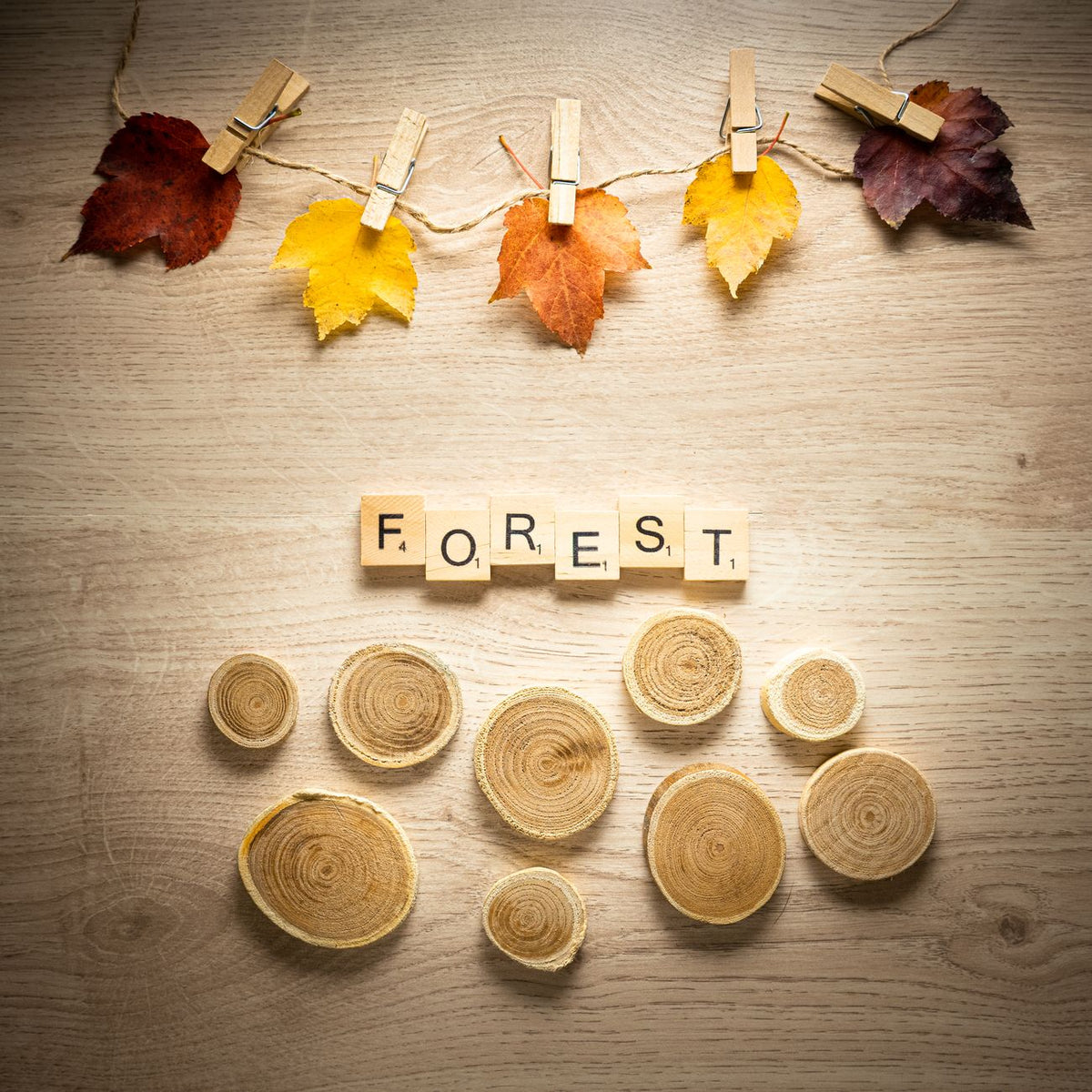 Rustic composition featuring autumn leaves, wooden letters spelling 'FOREST', and tree slices.