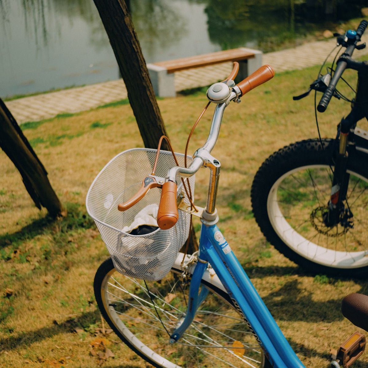 Colorful vintage bicycle with a basket by a serene pond in a sunny park setting.
