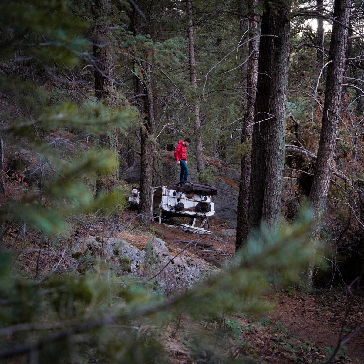 A person standing on an old abandoned car amidst dense forest trees.